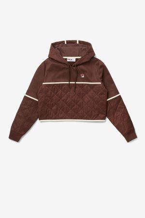 FILA Ivy Hoodies Deep Brown,Womens Clothing | CA.CMUNAQ032